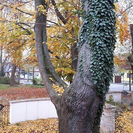 Cafe Hehrlich - Cafe, Pension & Mehr Bad Tennstedt Екстериор снимка
